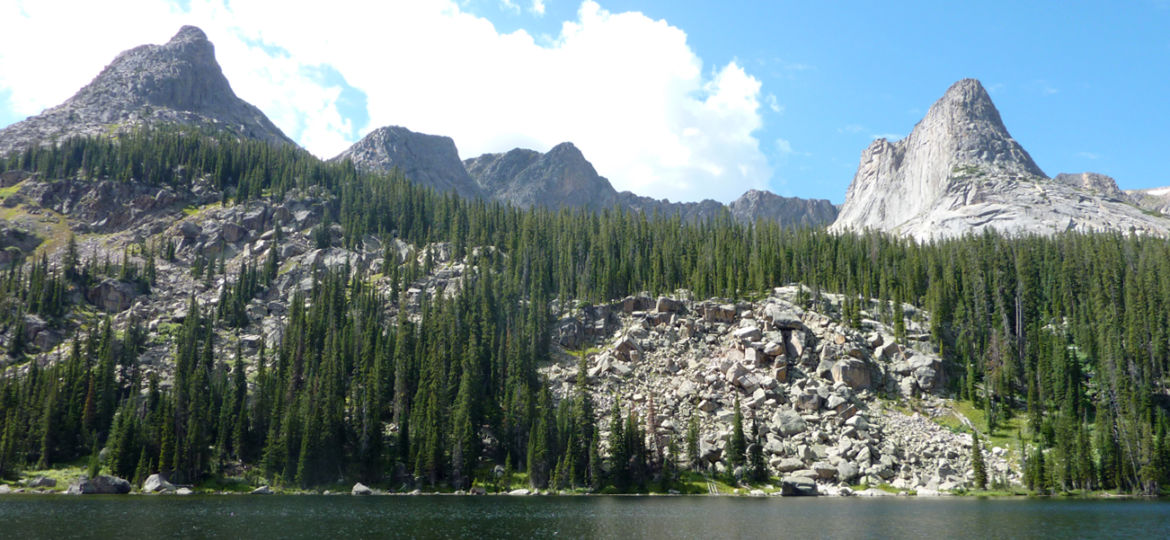 mountains and trees