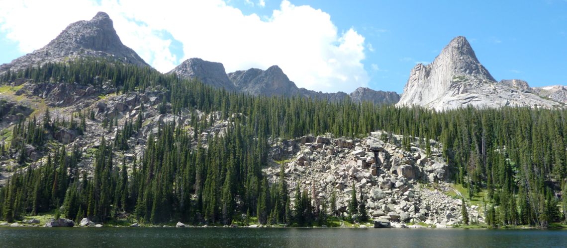 mountains and trees